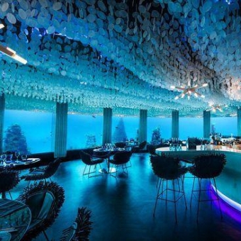 和鱼共餐 印度洋海底夜店变身高档餐厅