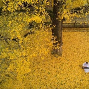 再说宁波是旅游荒漠 我第一个不同意