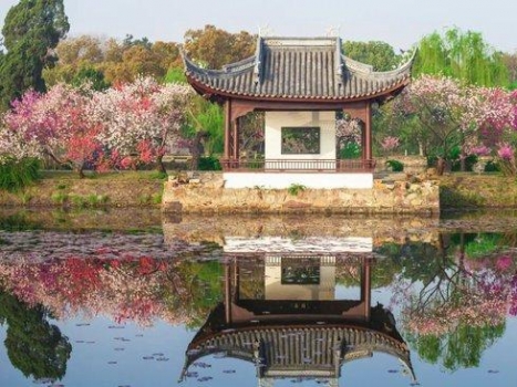 全国最“甜”的城市 是时候出圈了